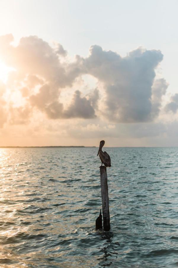 Glovers Reef Slickrock Belize Adventures المظهر الخارجي الصورة